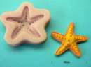 Starfish Silicone Mould